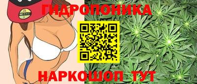 гашиш Жуковский