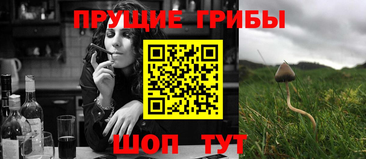 Псилоцибиновые грибы Magic Shrooms Курчатов