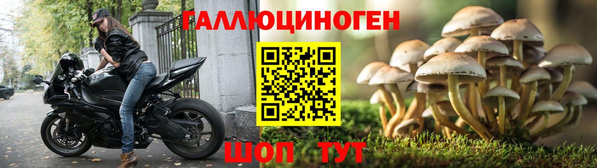 Курчатов  Галлюциногенные грибы ЛСД  Вход с VPN 